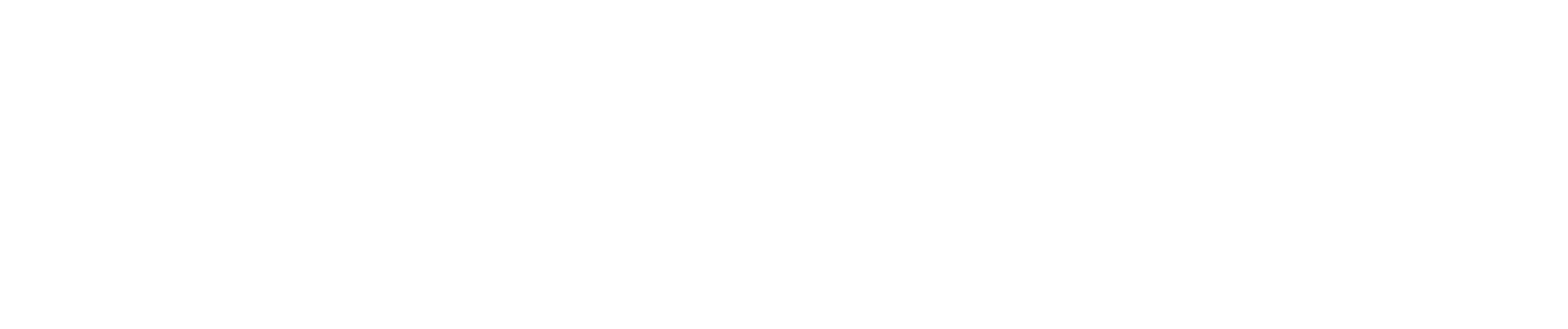 Sign Secure Now Logo